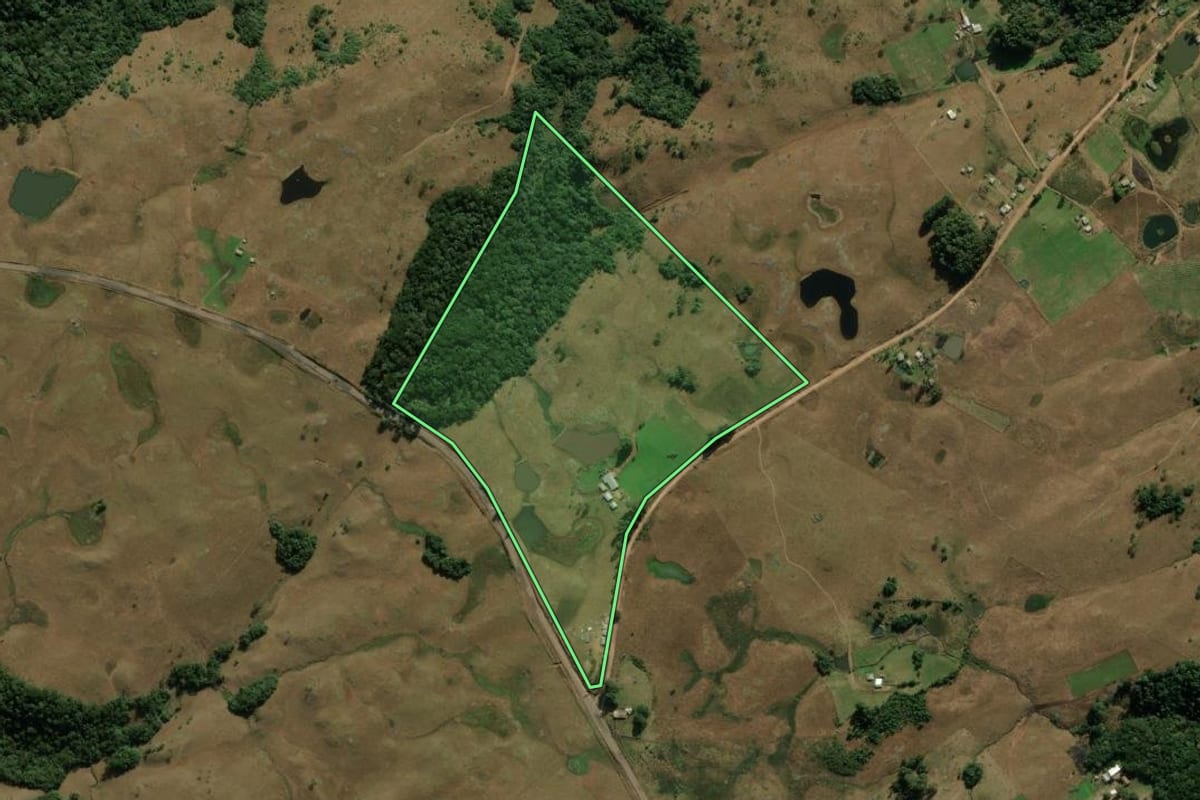 Imagem de satélite do imóvel rural em Jaquirana (RS), com o contorno declarado no CAR desenhado por cima.