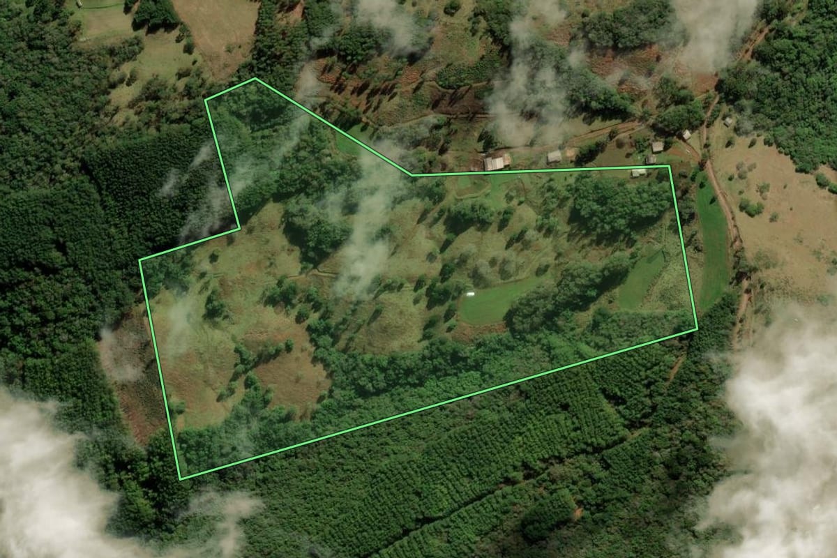 Imagem de satélite do imóvel rural em Jaquirana (RS), com o contorno declarado no CAR desenhado por cima.