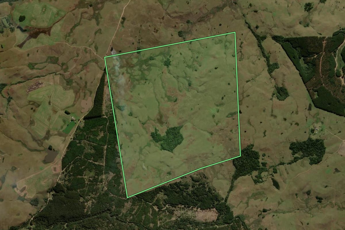 Imagem de satélite do imóvel rural em Jaquirana (RS), com o contorno declarado no CAR desenhado por cima.