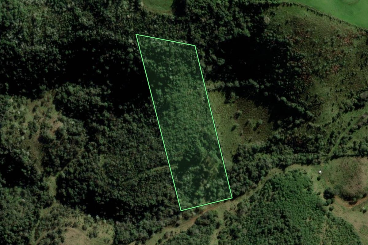 Imagem de satélite do imóvel rural em Jari (RS), com o contorno declarado no CAR desenhado por cima.