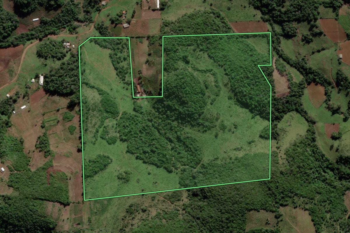 Imagem de satélite do imóvel rural em Jari (RS), com o contorno declarado no CAR desenhado por cima.