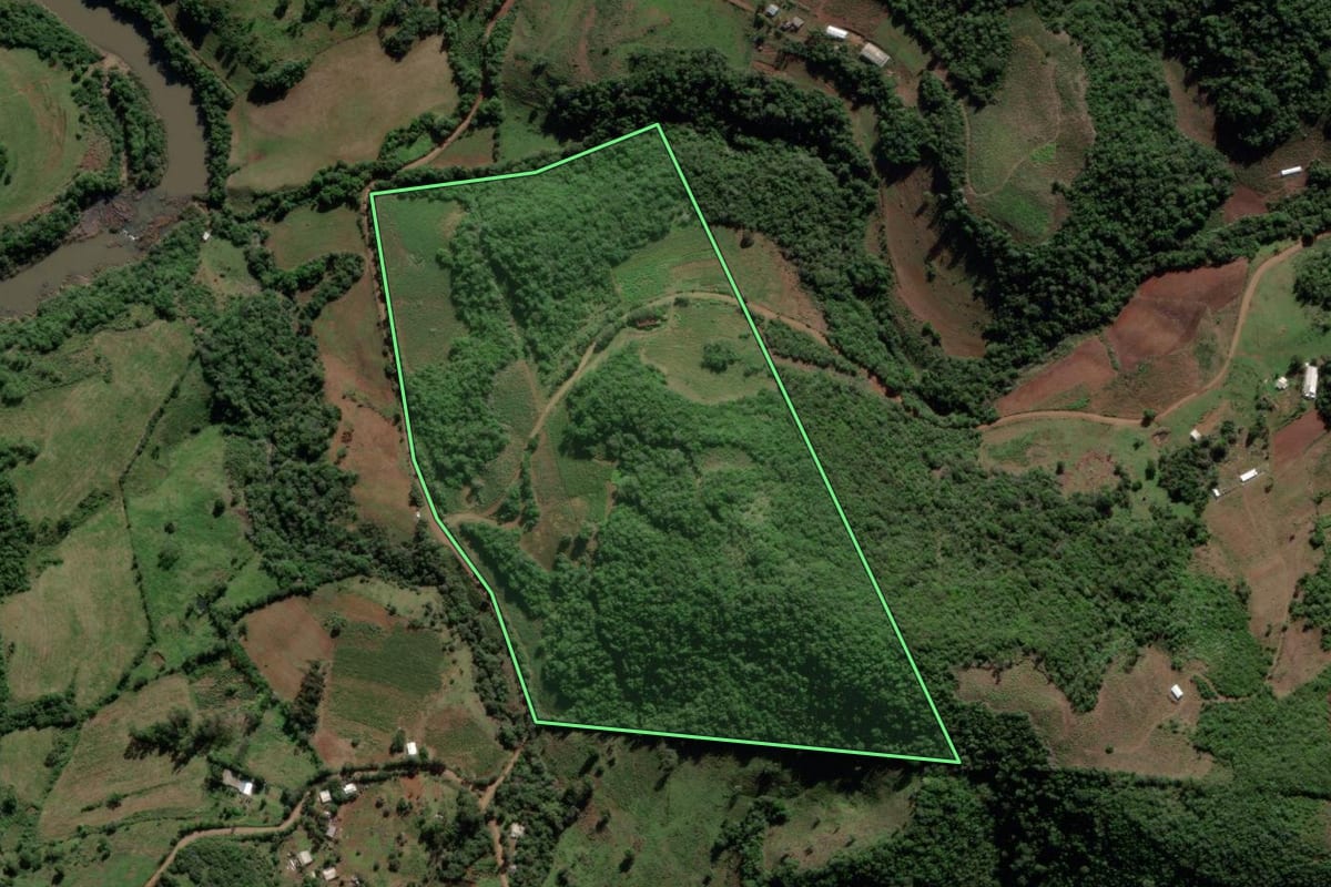 Imagem de satélite do imóvel rural em Jari (RS), com o contorno declarado no CAR desenhado por cima.