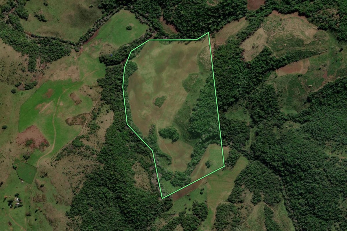 Imagem de satélite do imóvel rural em Jari (RS), com o contorno declarado no CAR desenhado por cima.