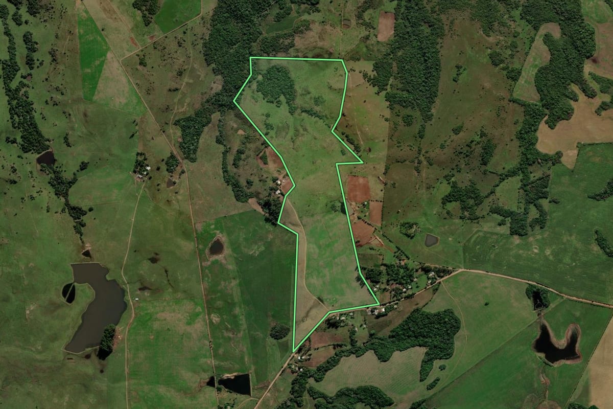 Imagem de satélite do imóvel rural em Jari (RS), com o contorno declarado no CAR desenhado por cima.