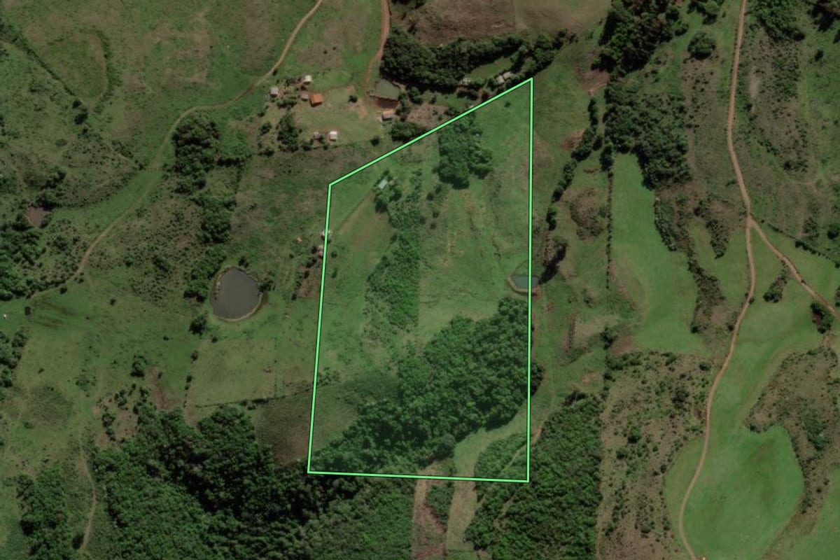Imagem de satélite do imóvel rural em Jari (RS), com o contorno declarado no CAR desenhado por cima.