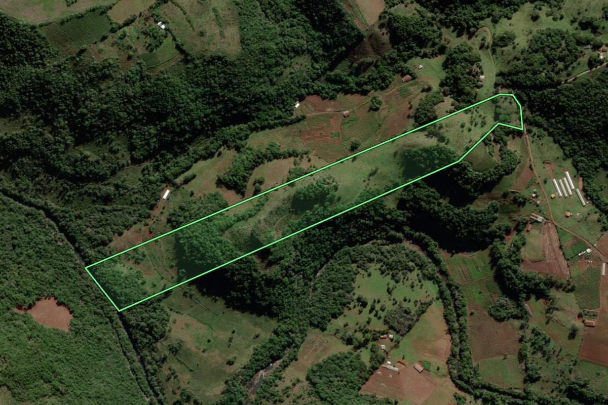 Imagem de satélite do imóvel rural em Jari (RS), com o contorno declarado no CAR desenhado por cima.