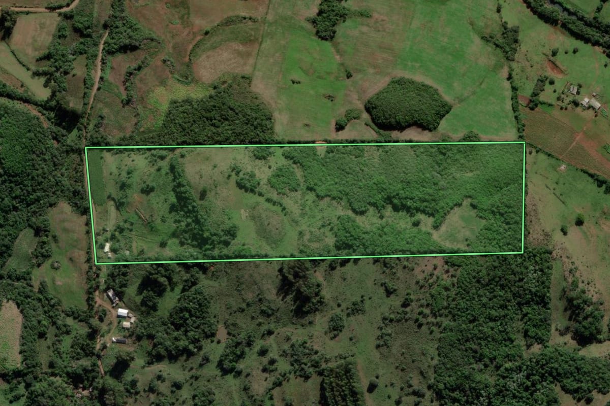Imagem de satélite do imóvel rural em Jari (RS), com o contorno declarado no CAR desenhado por cima.