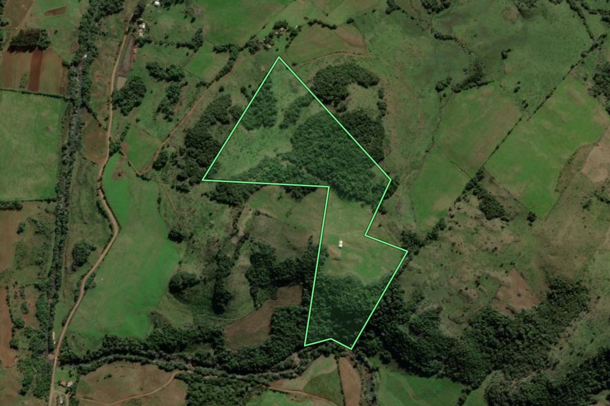 Imagem de satélite do imóvel rural em Jari (RS), com o contorno declarado no CAR desenhado por cima.