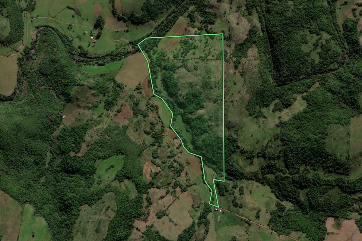 Imagem de satélite do imóvel rural em Jari (RS), com o contorno declarado no CAR desenhado por cima.