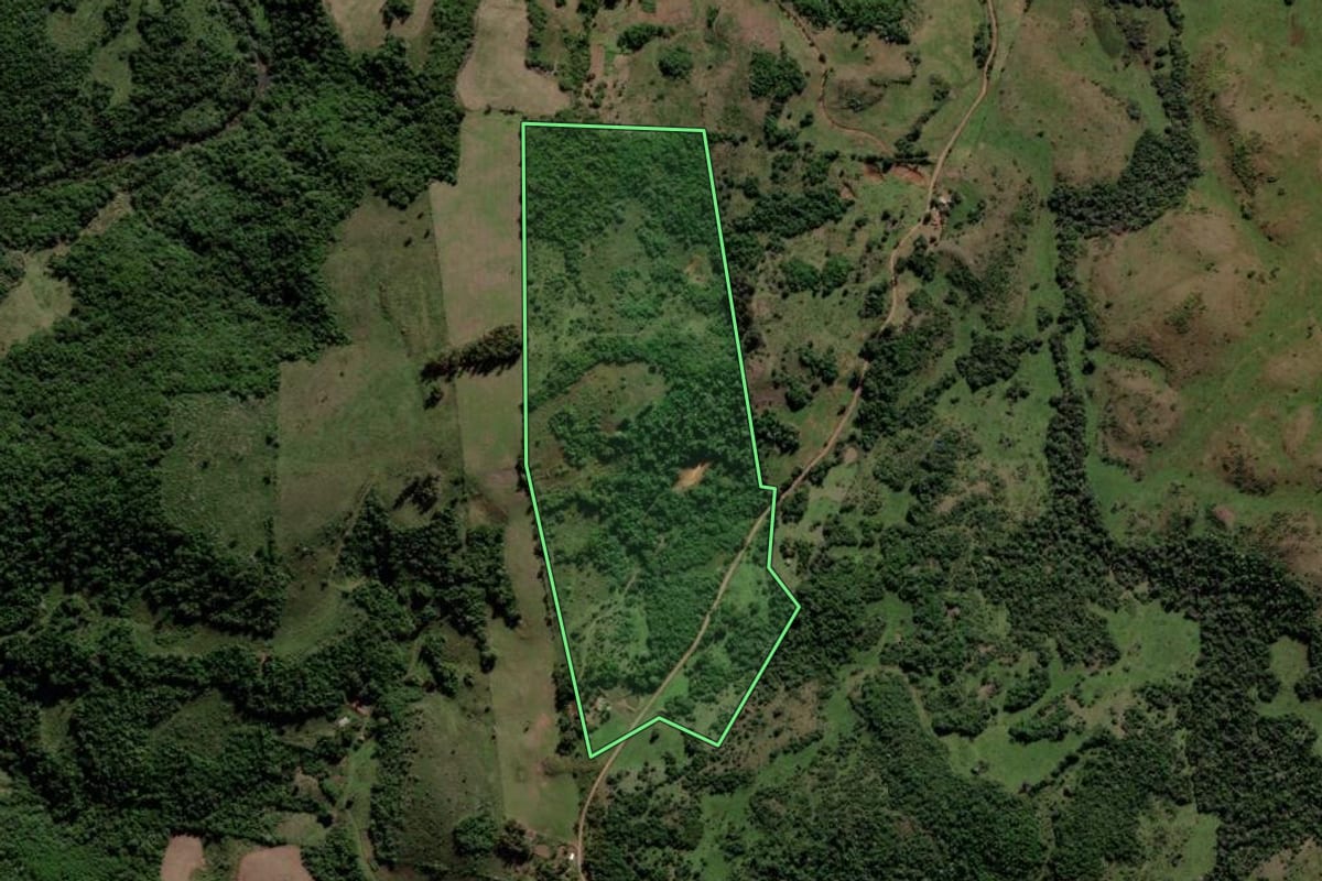 Imagem de satélite do imóvel rural em Jari (RS), com o contorno declarado no CAR desenhado por cima.