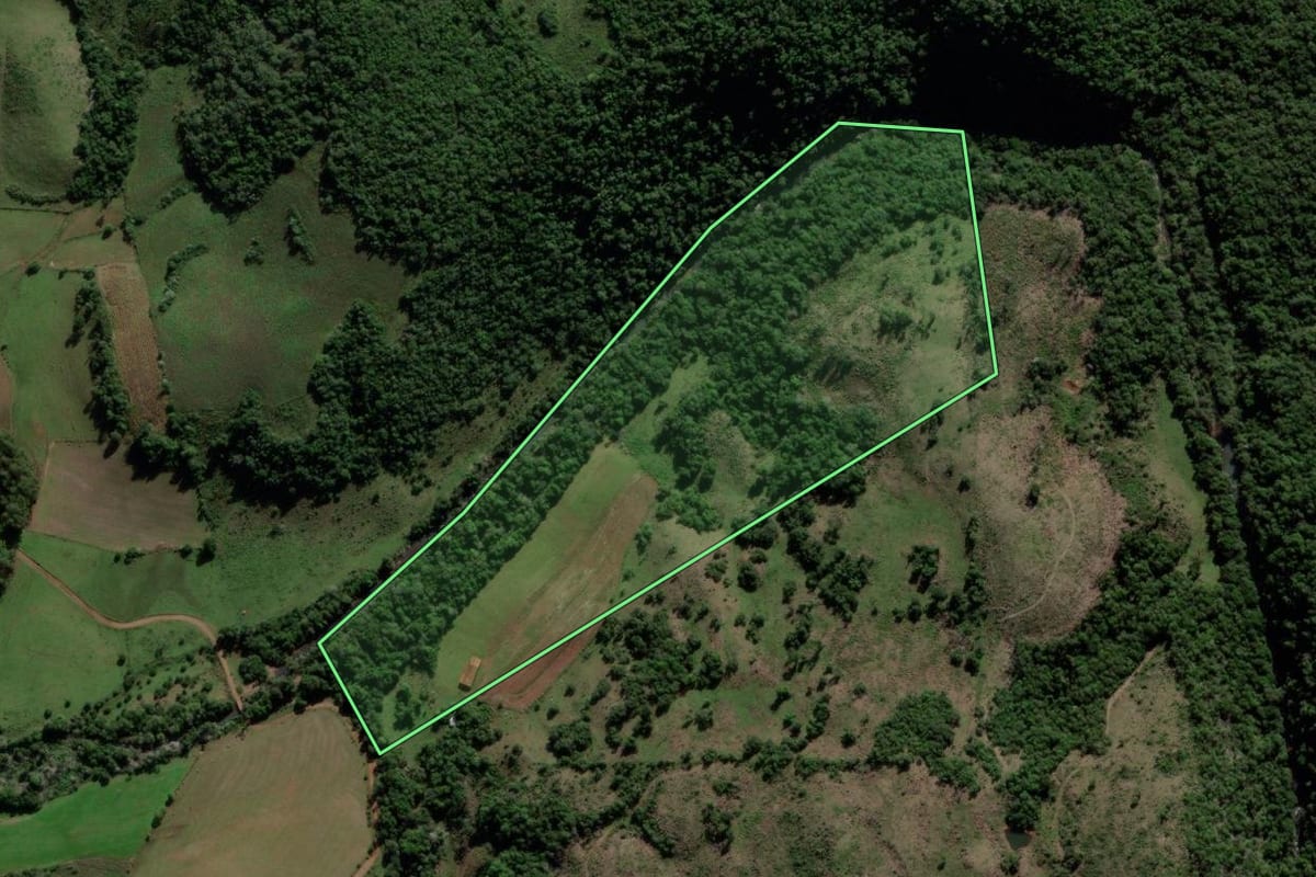 Imagem de satélite do imóvel rural em Jari (RS), com o contorno declarado no CAR desenhado por cima.