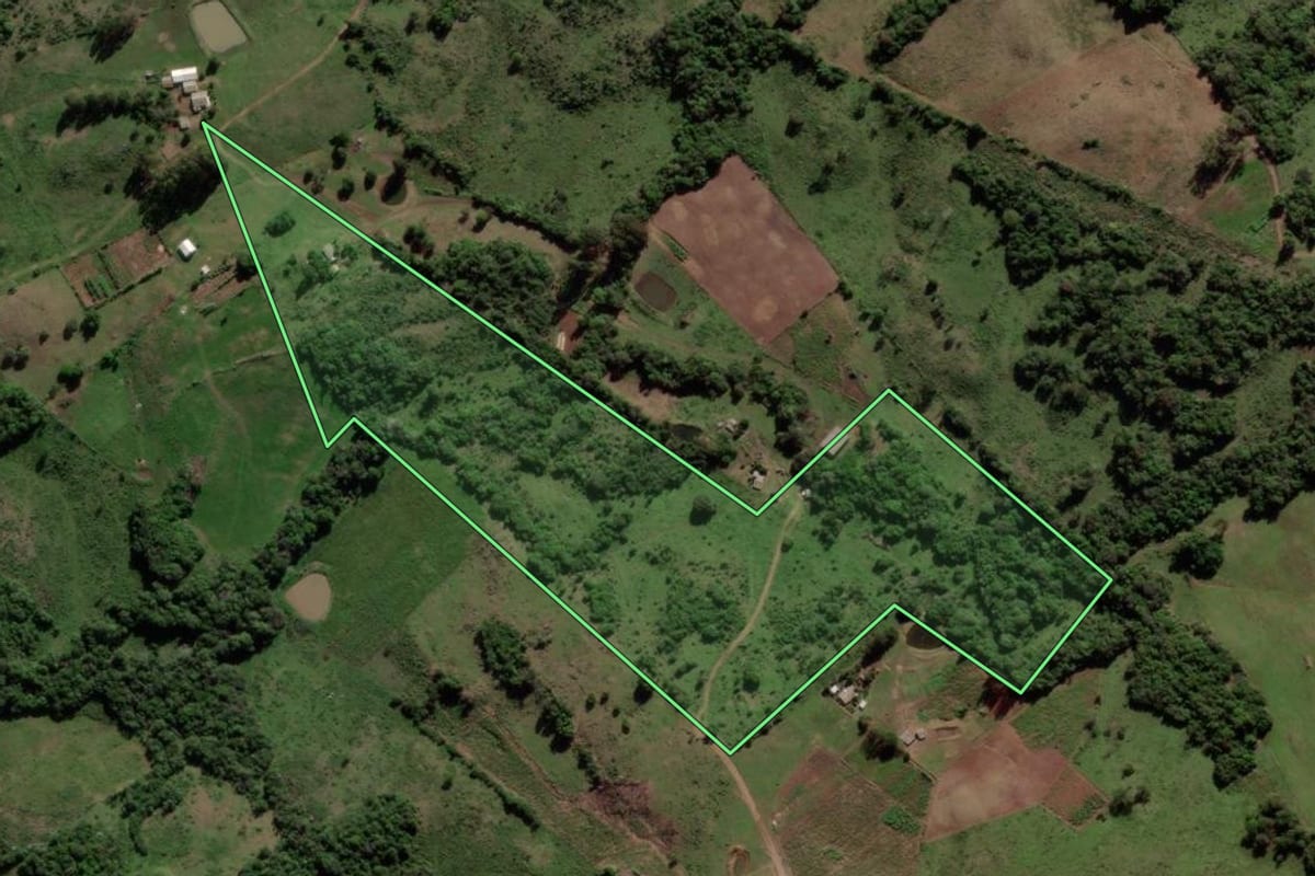 Imagem de satélite do imóvel rural em Jari (RS), com o contorno declarado no CAR desenhado por cima.