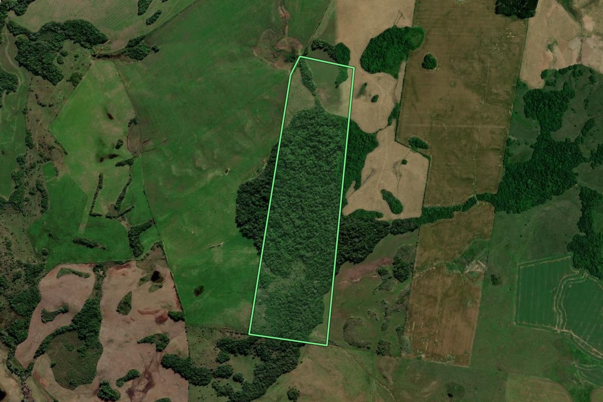 Imagem de satélite do imóvel rural em Jari (RS), com o contorno declarado no CAR desenhado por cima.