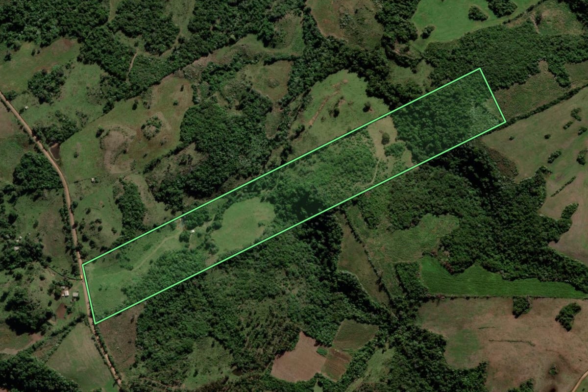 Imagem de satélite do imóvel rural em Jari (RS), com o contorno declarado no CAR desenhado por cima.