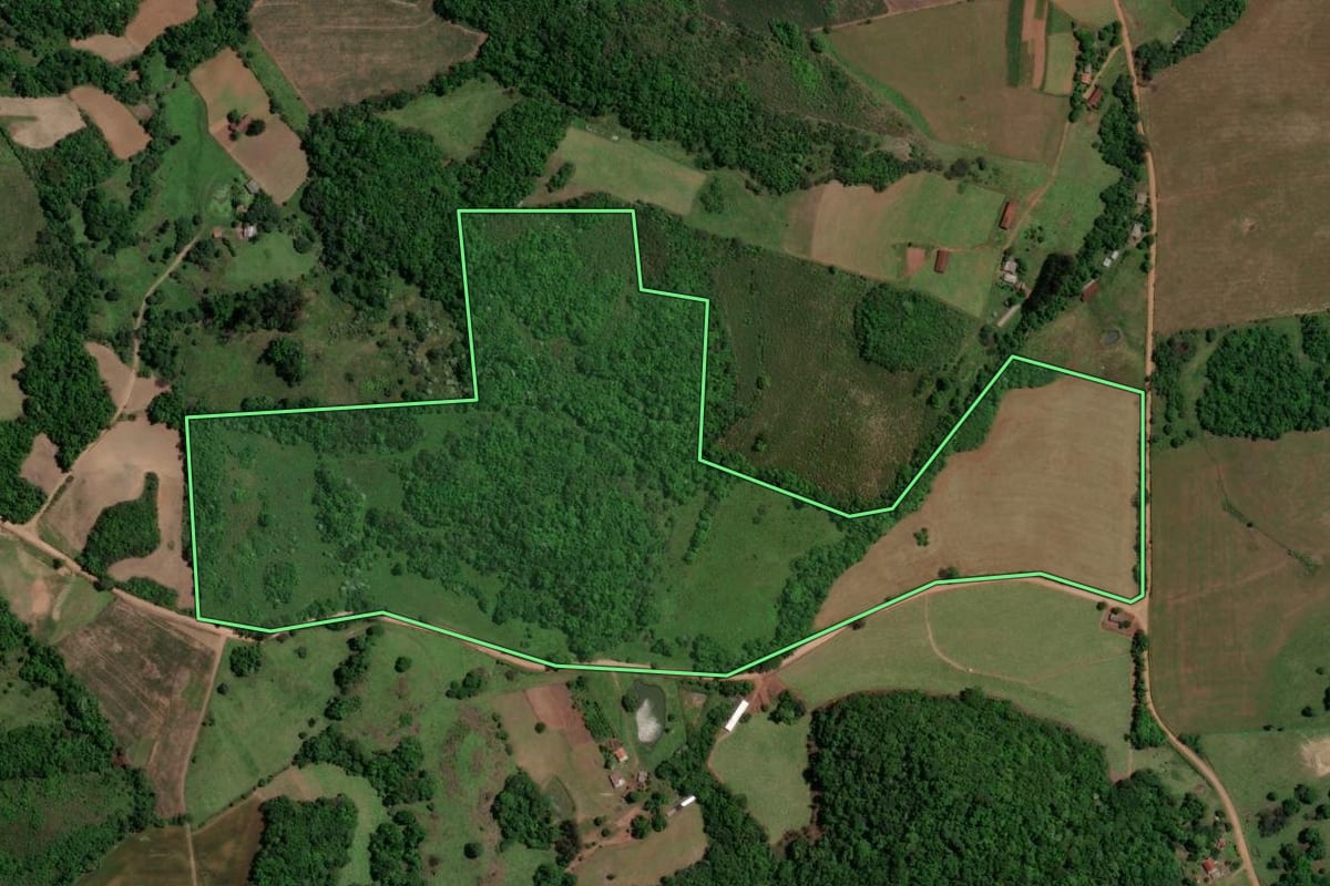 Imagem de satélite do imóvel rural em Jari (RS), com o contorno declarado no CAR desenhado por cima.