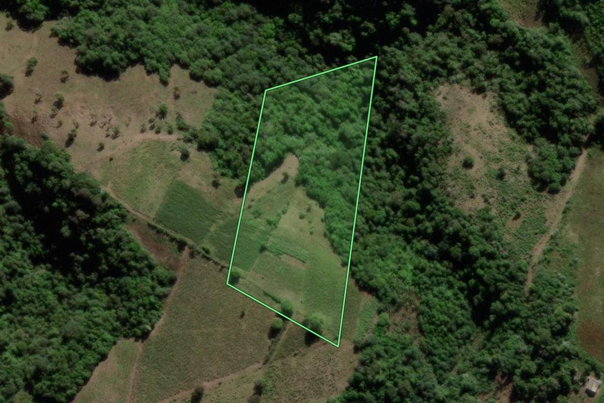 Imagem de satélite do imóvel rural em Jari (RS), com o contorno declarado no CAR desenhado por cima.