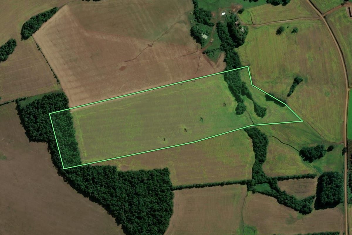 Imagem de satélite do imóvel rural em Jóia (RS), com o contorno declarado no CAR desenhado por cima.