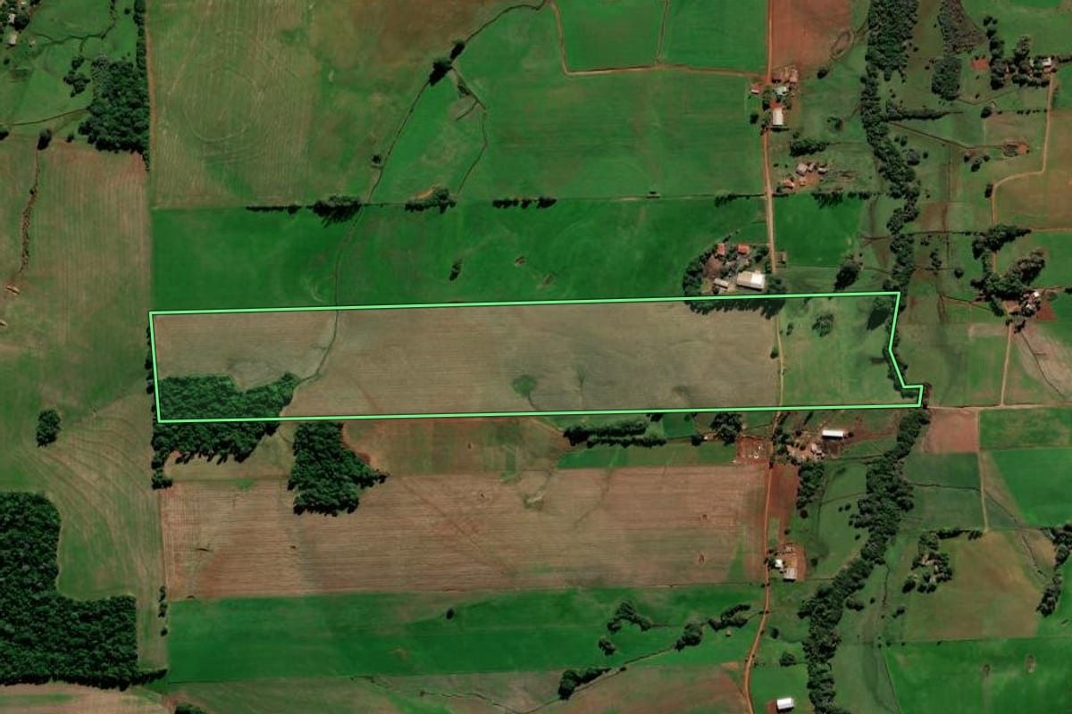 Imagem de satélite do imóvel rural em Jóia (RS), com o contorno declarado no CAR desenhado por cima.
