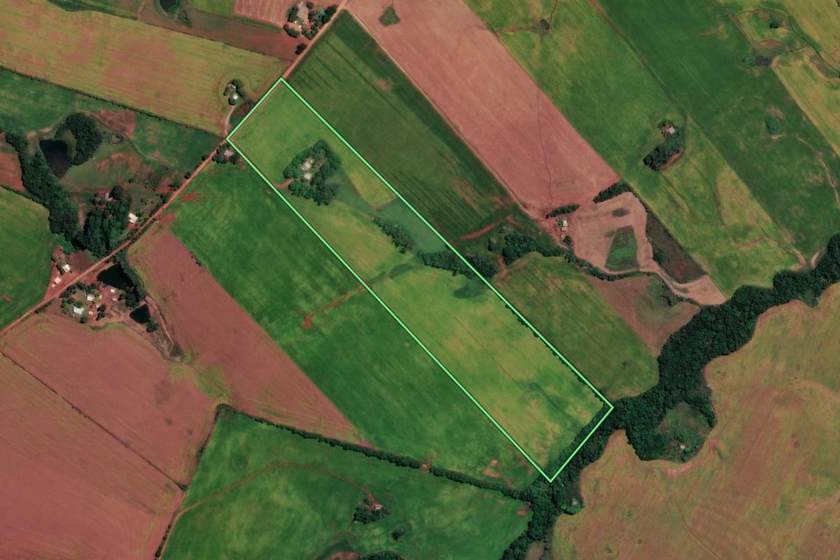 Imagem de satélite do imóvel rural em Jóia (RS), com o contorno declarado no CAR desenhado por cima.