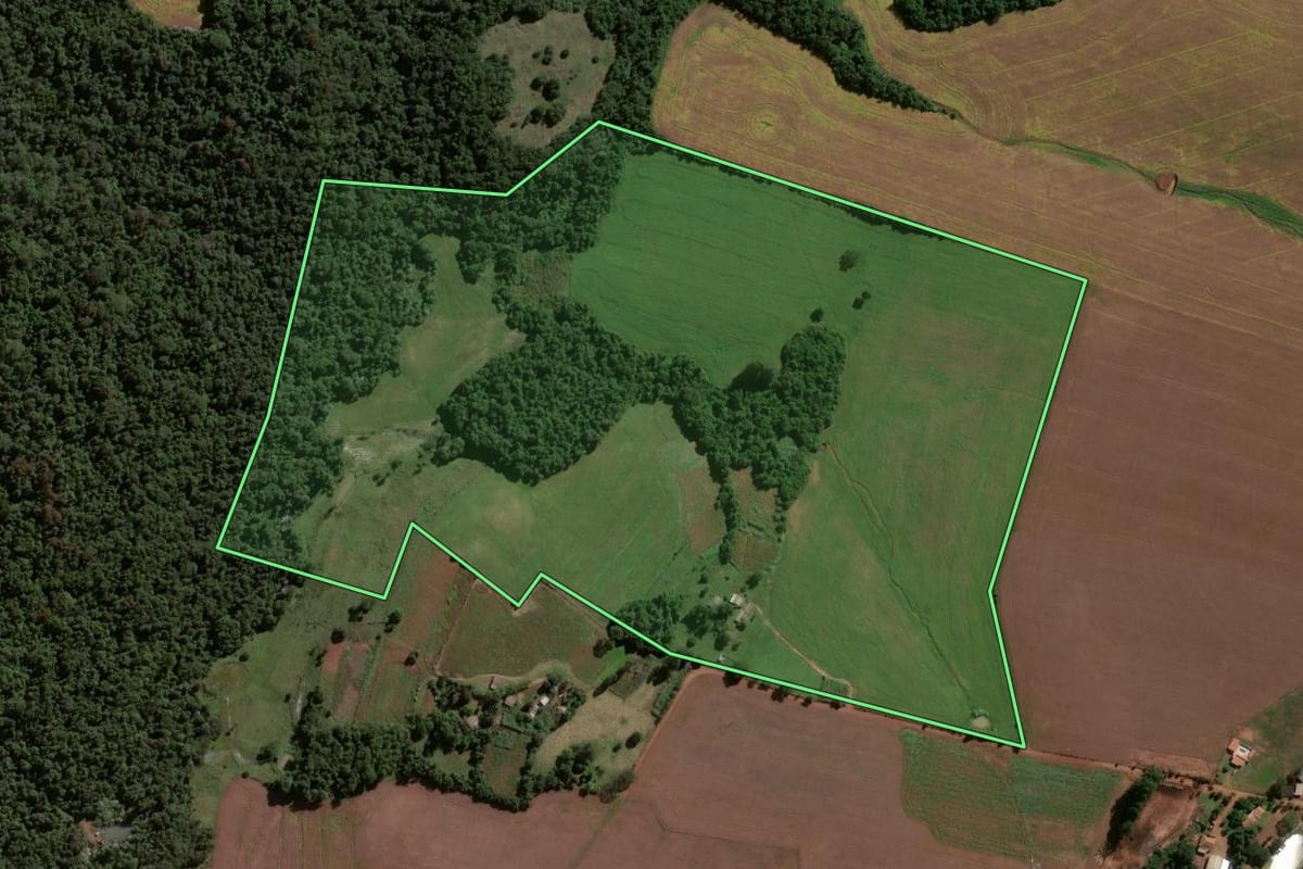 Imagem de satélite do imóvel rural em Jóia (RS), com o contorno declarado no CAR desenhado por cima.