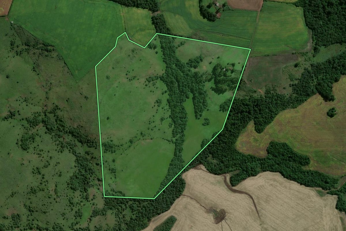 Imagem de satélite do imóvel rural em Jóia (RS), com o contorno declarado no CAR desenhado por cima.