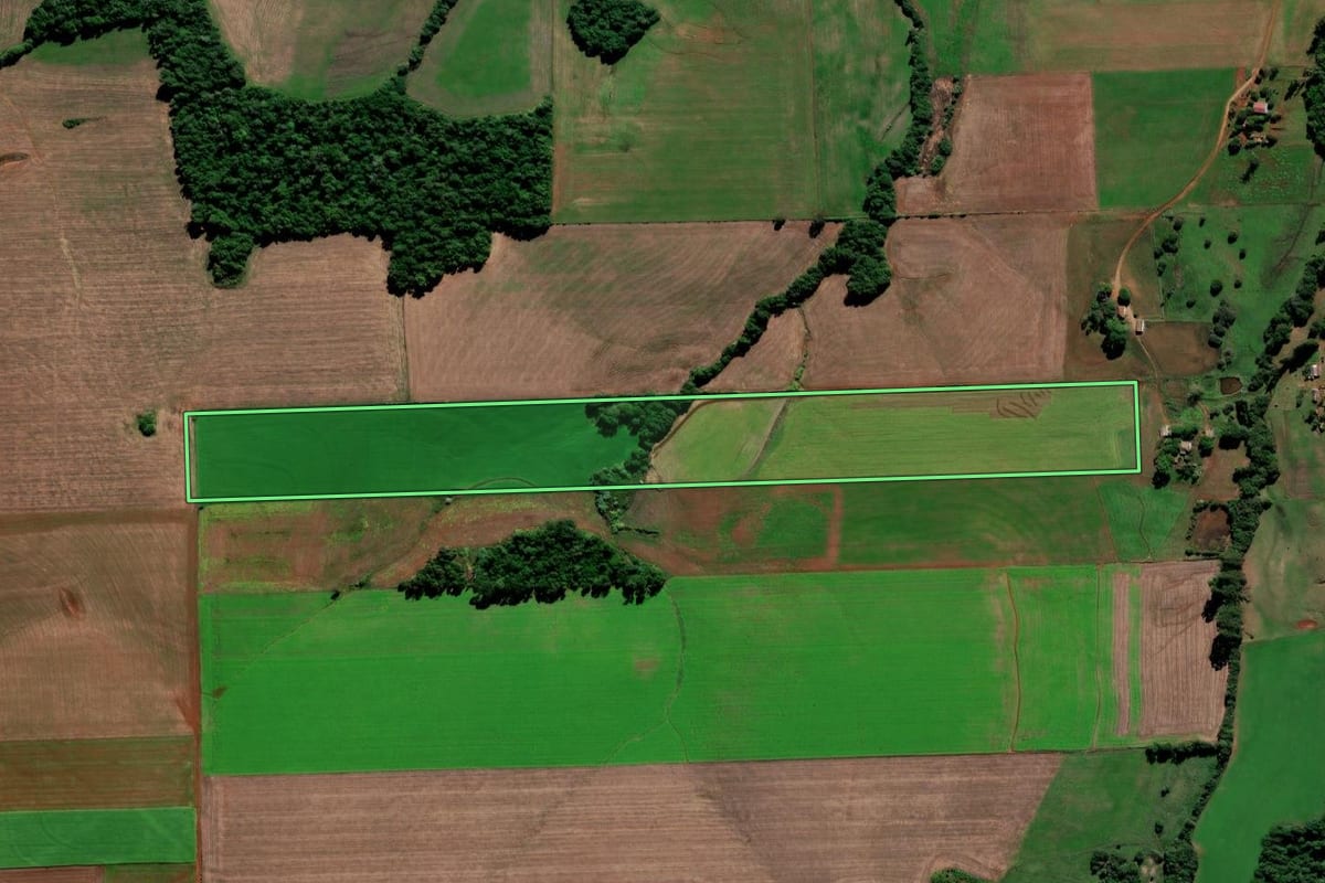 Imagem de satélite do imóvel rural em Jóia (RS), com o contorno declarado no CAR desenhado por cima.