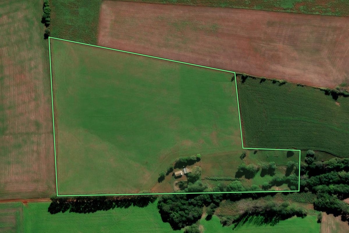 Imagem de satélite do imóvel rural em Jóia (RS), com o contorno declarado no CAR desenhado por cima.