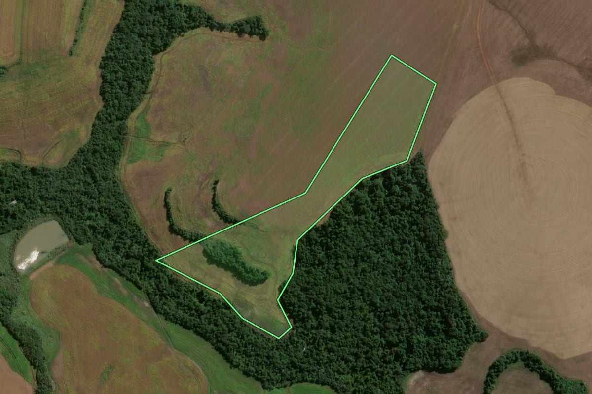 Imagem de satélite do imóvel rural em Jóia (RS), com o contorno declarado no CAR desenhado por cima.