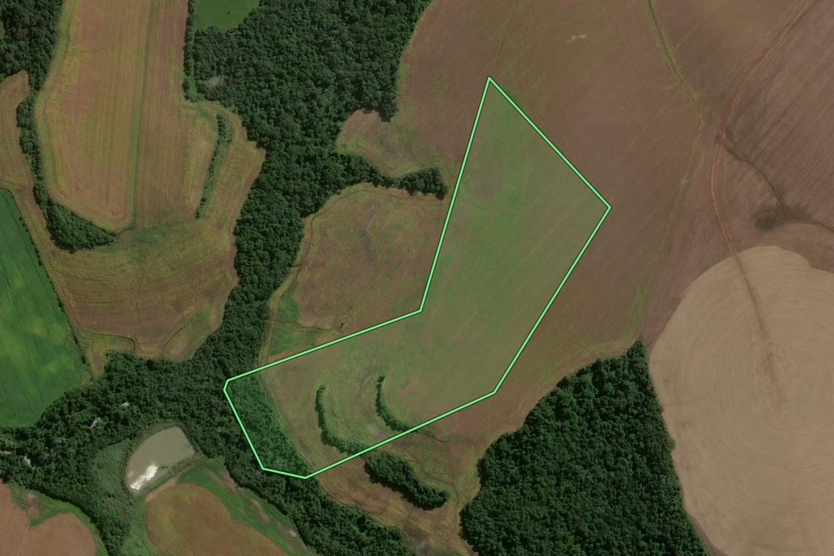 Imagem de satélite do imóvel rural em Jóia (RS), com o contorno declarado no CAR desenhado por cima.