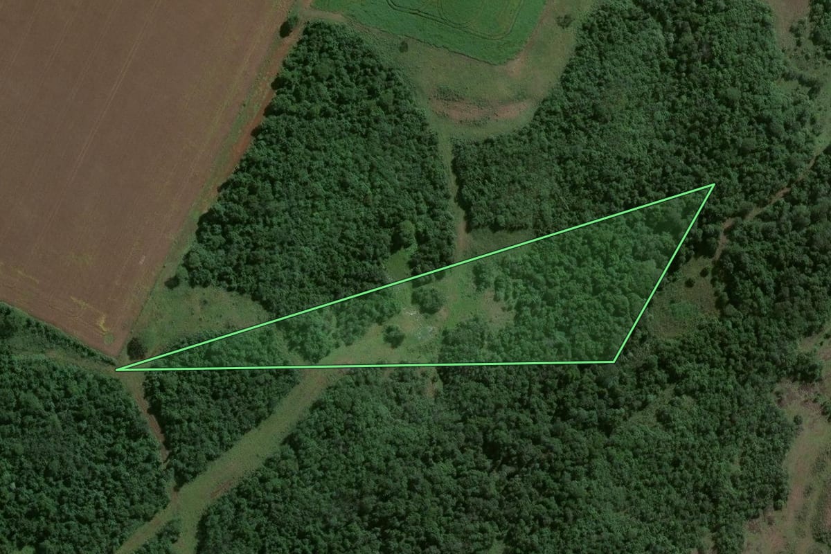 Imagem de satélite do imóvel rural em Jóia (RS), com o contorno declarado no CAR desenhado por cima.