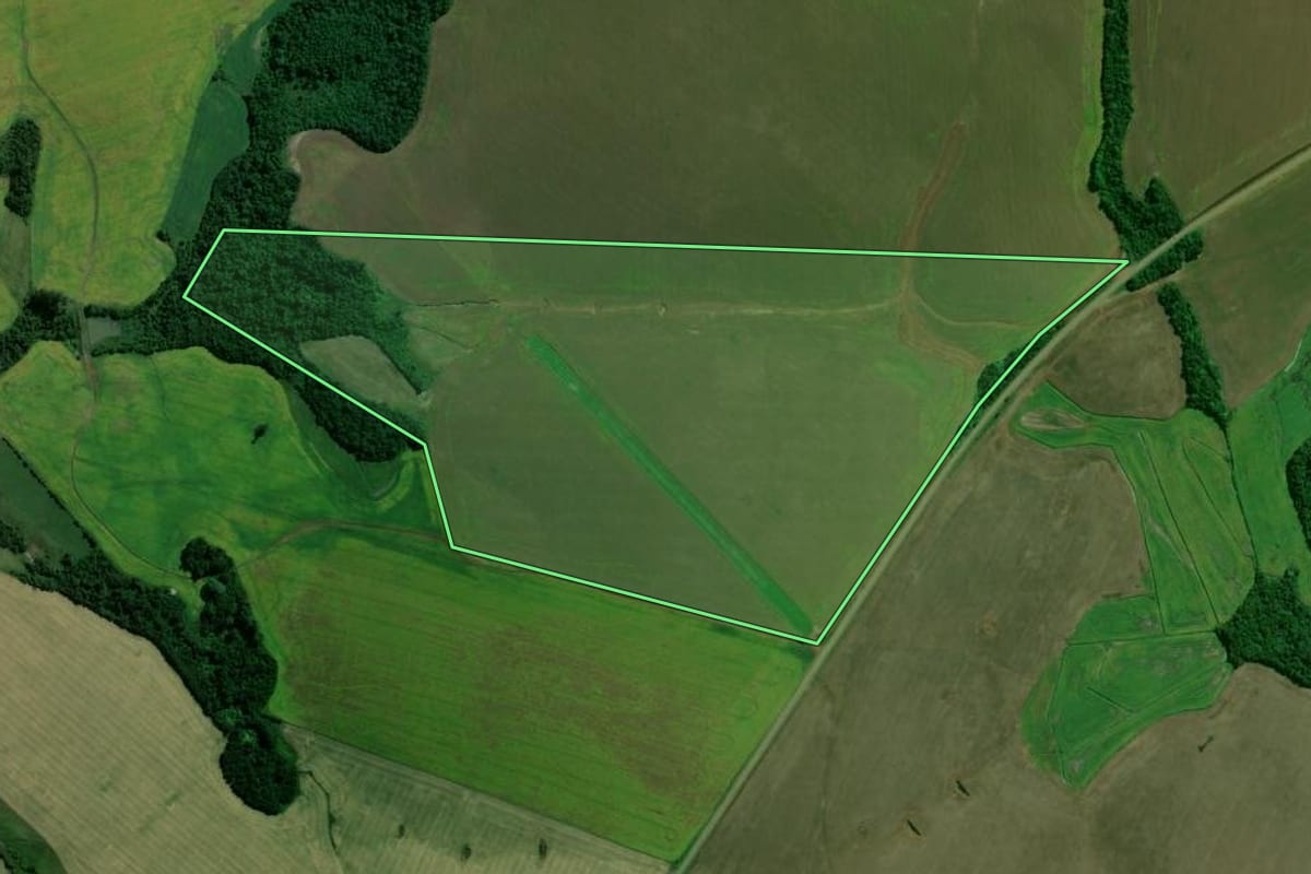 Imagem de satélite do imóvel rural em Jóia (RS), com o contorno declarado no CAR desenhado por cima.