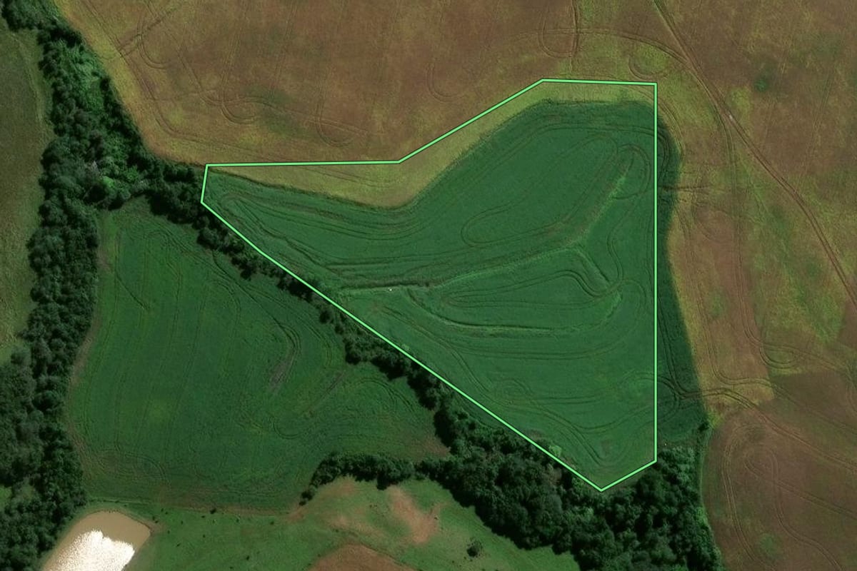 Imagem de satélite do imóvel rural em Jóia (RS), com o contorno declarado no CAR desenhado por cima.