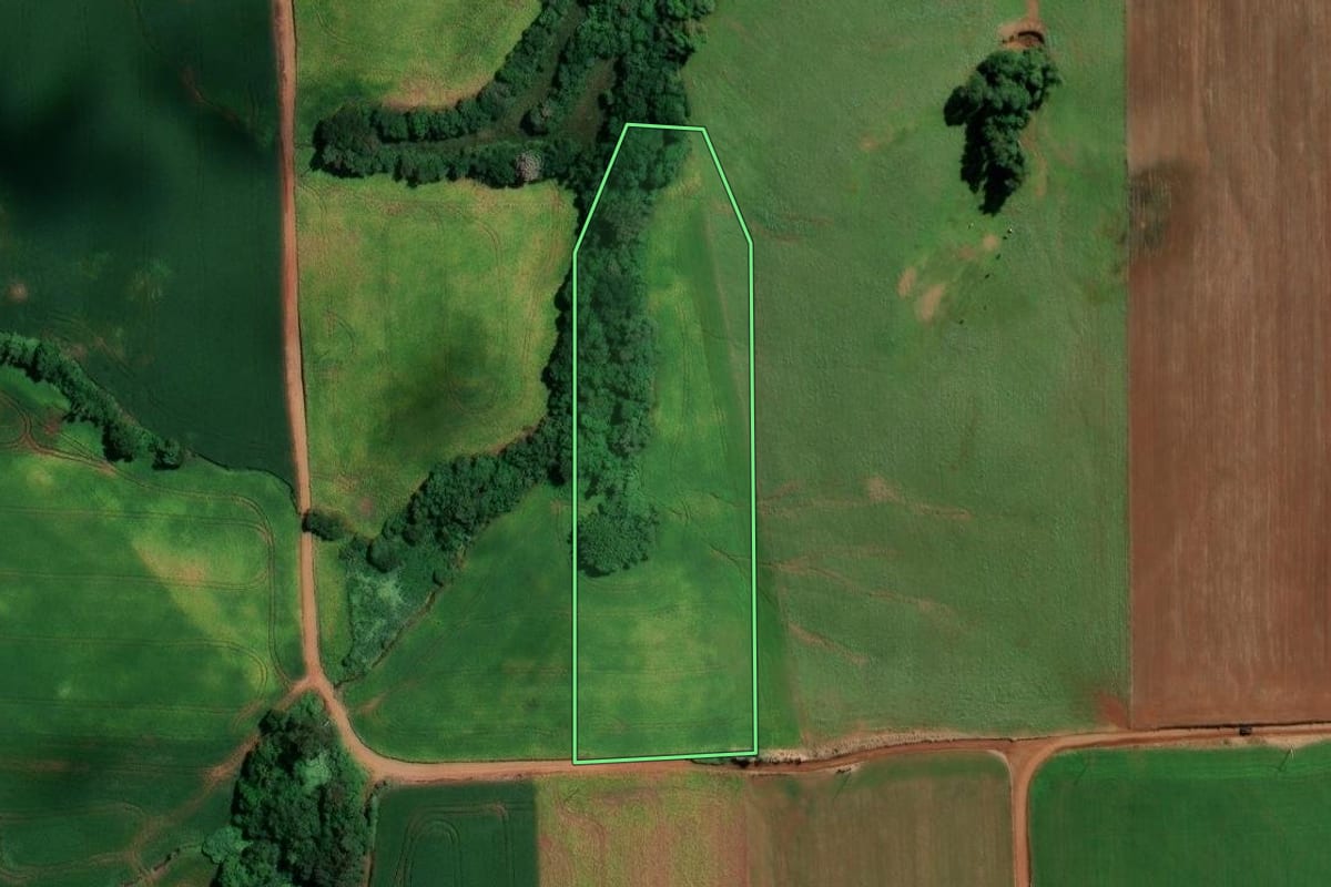 Imagem de satélite do imóvel rural em Jóia (RS), com o contorno declarado no CAR desenhado por cima.