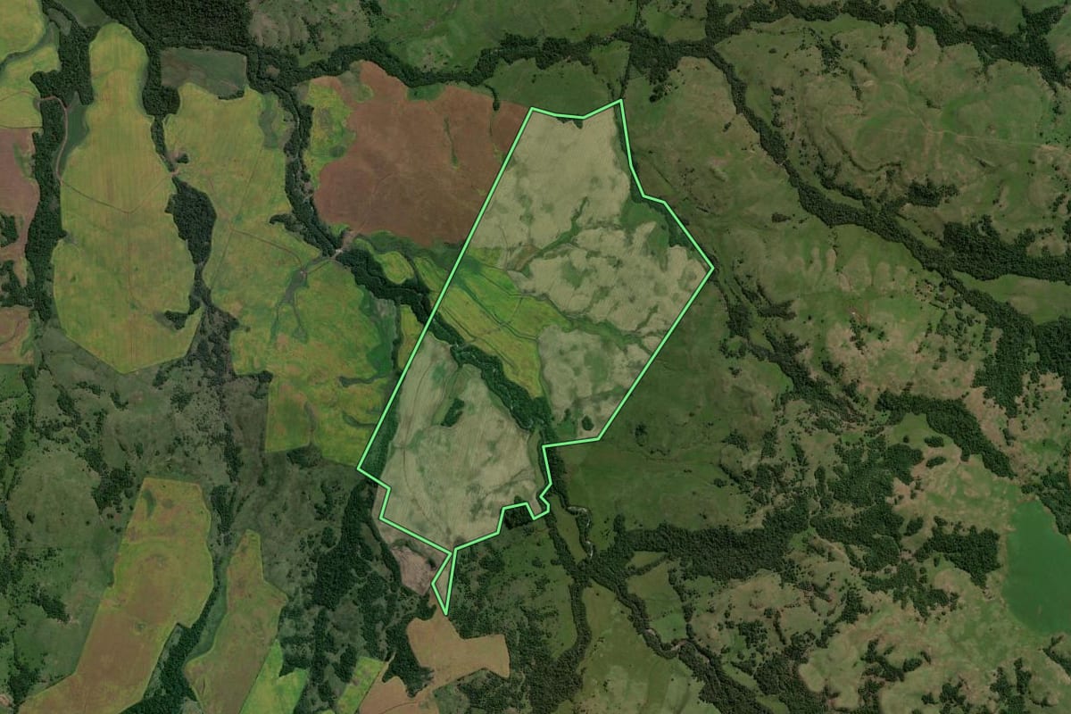 Imagem de satélite do imóvel rural em Jóia (RS), com o contorno declarado no CAR desenhado por cima.