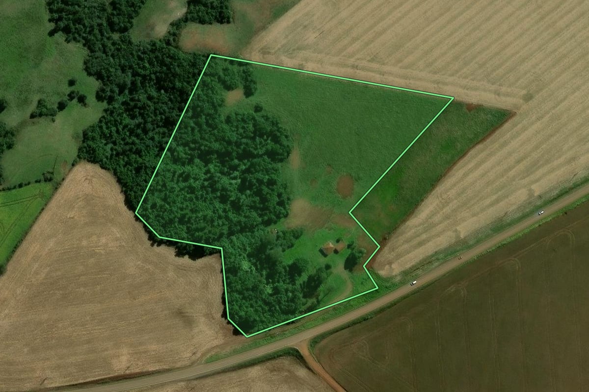 Imagem de satélite do imóvel rural em Jóia (RS), com o contorno declarado no CAR desenhado por cima.