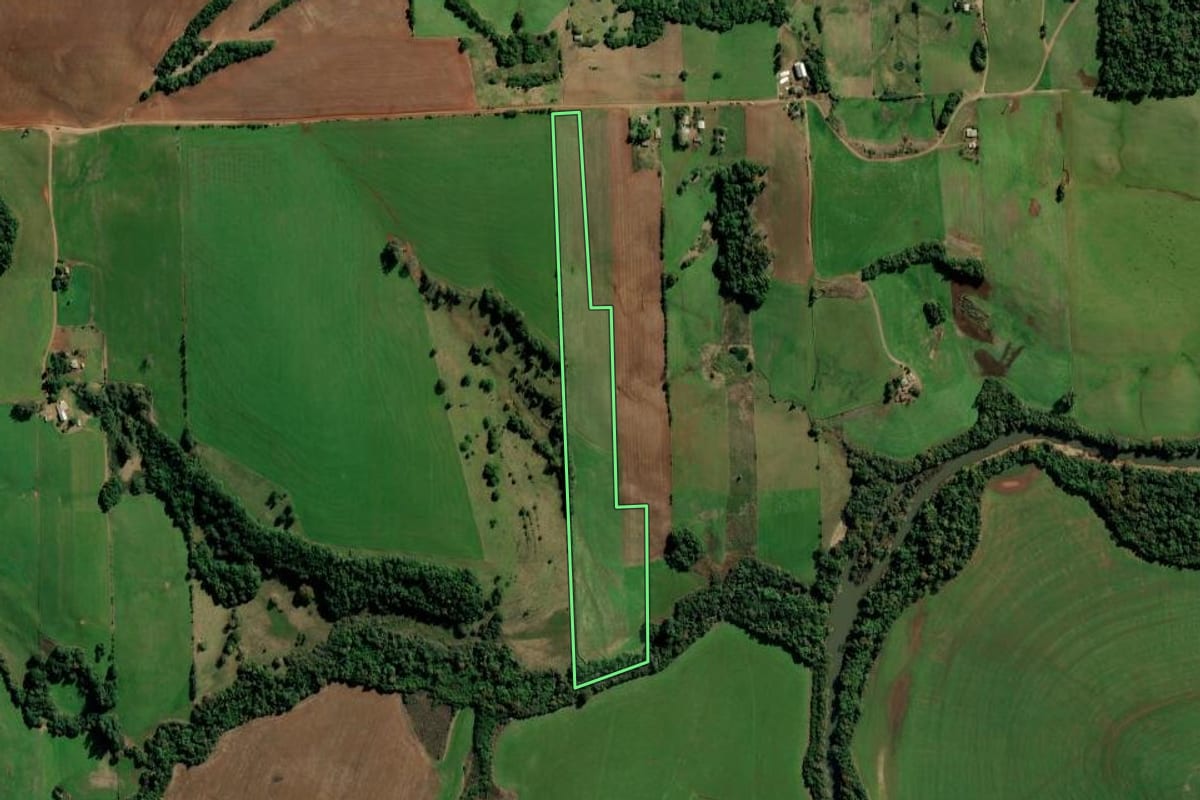 Imagem de satélite do imóvel rural em Jóia (RS), com o contorno declarado no CAR desenhado por cima.