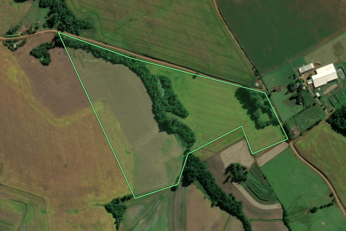 Imagem de satélite do imóvel rural em Jóia (RS), com o contorno declarado no CAR desenhado por cima.
