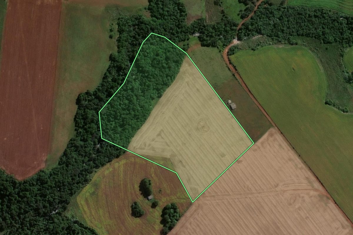Imagem de satélite do imóvel rural em Jóia (RS), com o contorno declarado no CAR desenhado por cima.