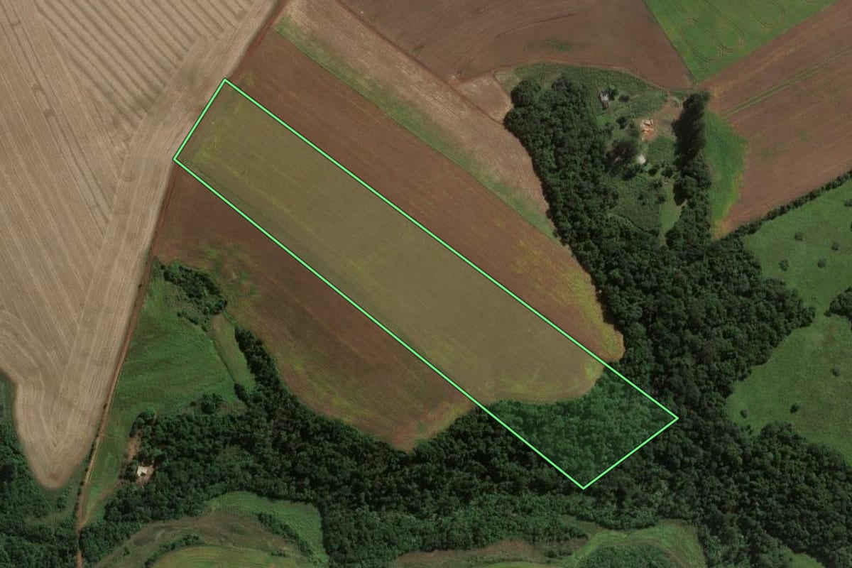Imagem de satélite do imóvel rural em Jóia (RS), com o contorno declarado no CAR desenhado por cima.