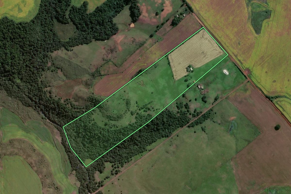 Imagem de satélite do imóvel rural em Jóia (RS), com o contorno declarado no CAR desenhado por cima.
