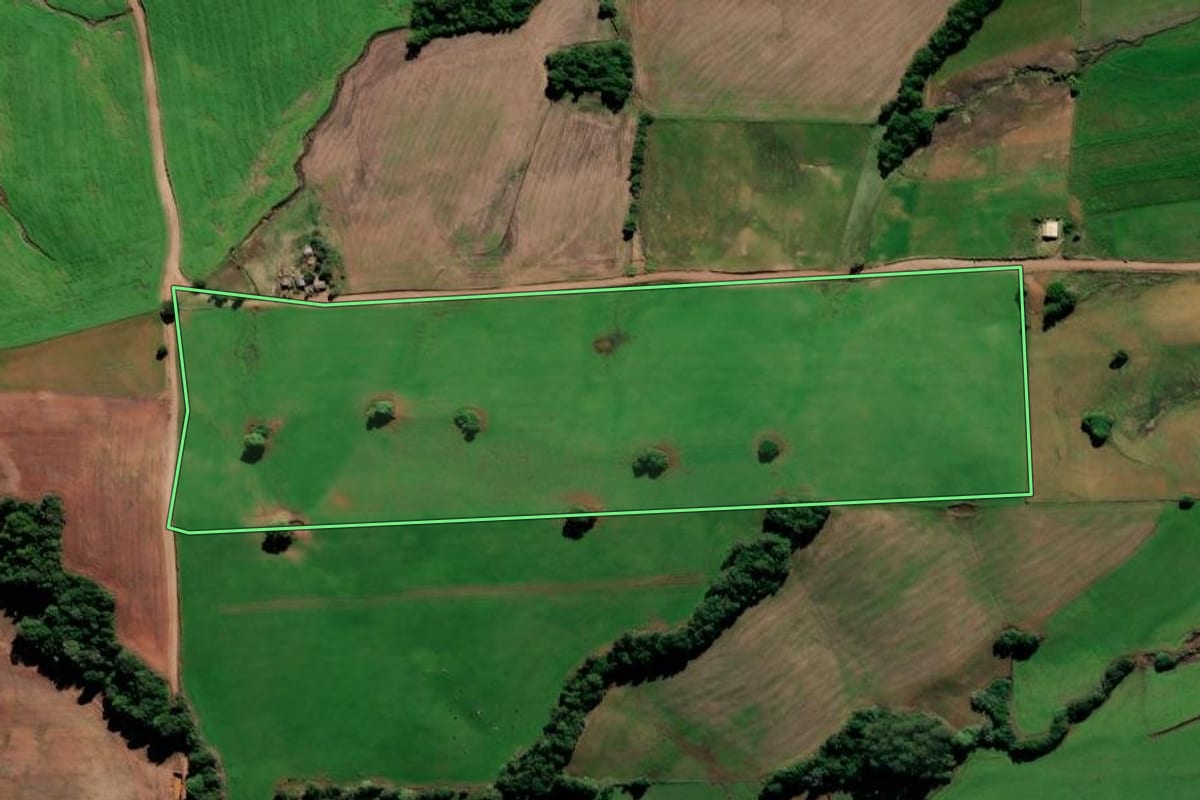 Imagem de satélite do imóvel rural em Jóia (RS), com o contorno declarado no CAR desenhado por cima.