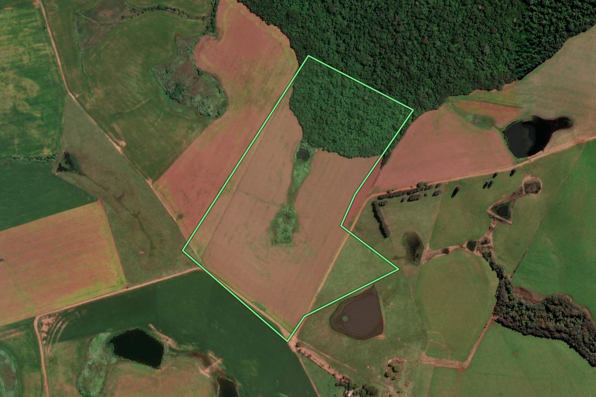 Imagem de satélite do imóvel rural em Jóia (RS), com o contorno declarado no CAR desenhado por cima.
