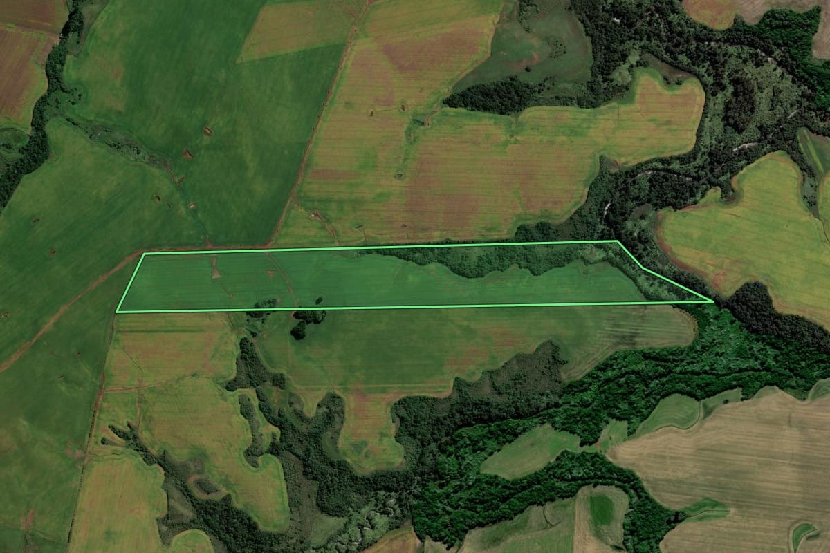 Imagem de satélite do imóvel rural em Jóia (RS), com o contorno declarado no CAR desenhado por cima.