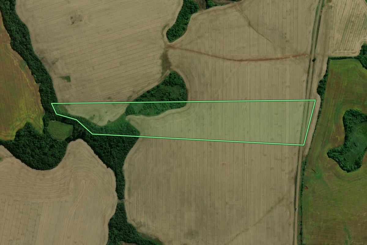 Imagem de satélite do imóvel rural em Jóia (RS), com o contorno declarado no CAR desenhado por cima.