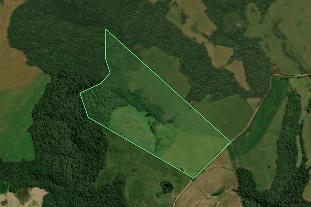 Imagem de satélite do imóvel rural em Júlio de Castilhos (RS), com o contorno declarado no CAR desenhado por cima.