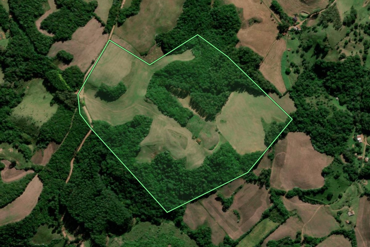 Imagem de satélite do imóvel rural em Júlio de Castilhos (RS), com o contorno declarado no CAR desenhado por cima.