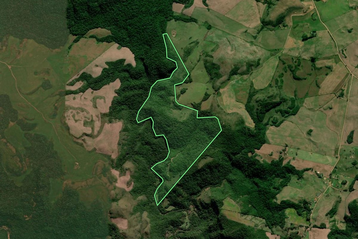 Imagem de satélite do imóvel rural em Júlio de Castilhos (RS), com o contorno declarado no CAR desenhado por cima.
