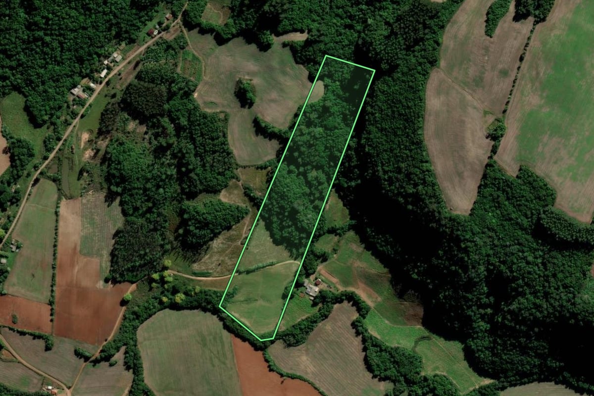 Imagem de satélite do imóvel rural em Lagoa Bonita do Sul (RS), com o contorno declarado no CAR desenhado por cima.