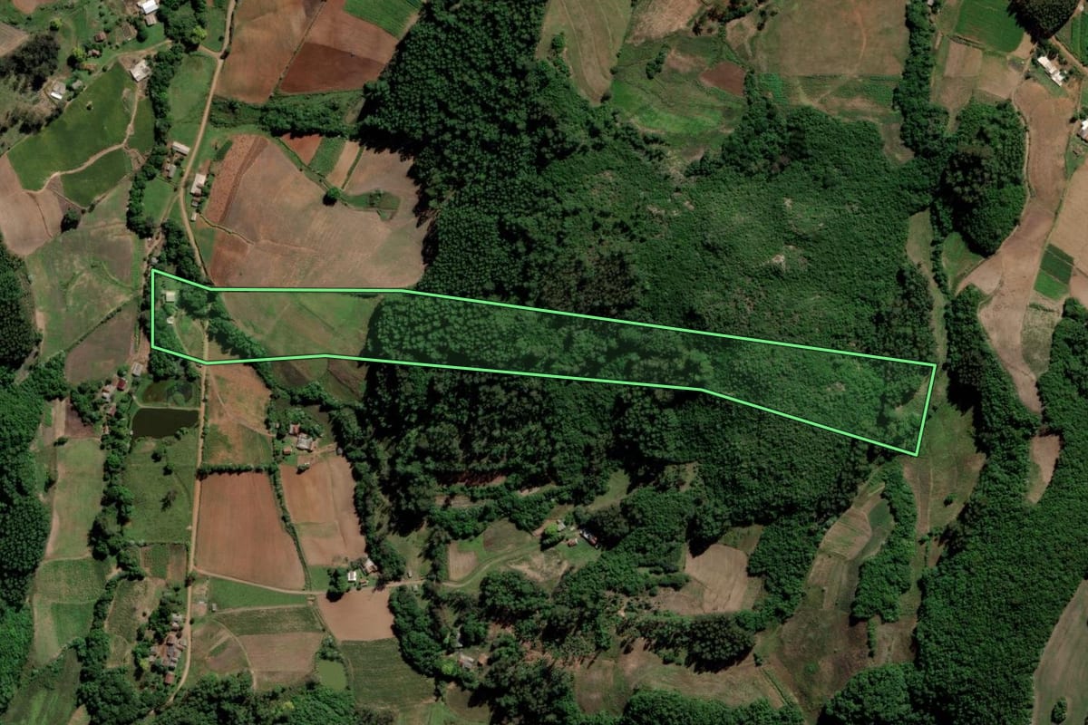Imagem de satélite do imóvel rural em Lagoa Bonita do Sul (RS), com o contorno declarado no CAR desenhado por cima.