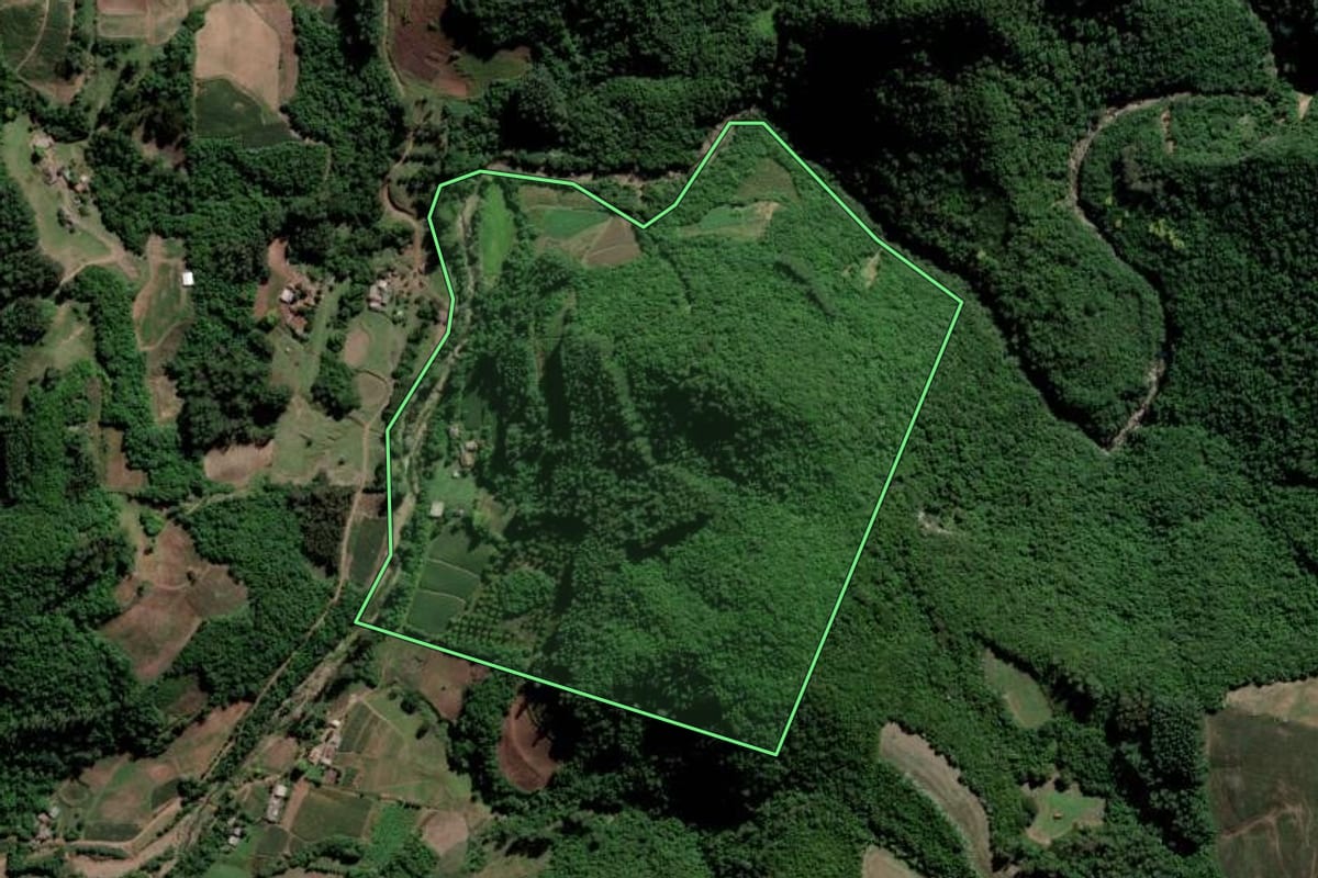 Imagem de satélite do imóvel rural em Lagoa Bonita do Sul (RS), com o contorno declarado no CAR desenhado por cima.